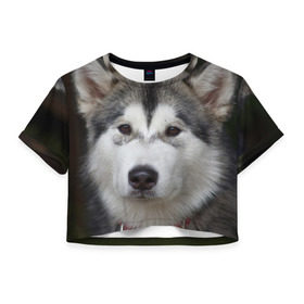 Женская футболка 3D укороченная с принтом Хаски в Курске, 100% полиэстер | круглая горловина, длина футболки до линии талии, рукава с отворотами | волк | маламут | собака | хаски | щенок
