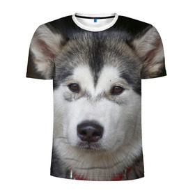 Мужская футболка 3D спортивная с принтом Хаски в Курске, 100% полиэстер с улучшенными характеристиками | приталенный силуэт, круглая горловина, широкие плечи, сужается к линии бедра | волк | маламут | собака | хаски | щенок