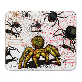 Коврик прямоугольный с принтом Тарантул в Курске, натуральный каучук | размер 230 х 185 мм; запечатка лицевой стороны | Тематика изображения на принте: spider | паук | паутина | тарантул