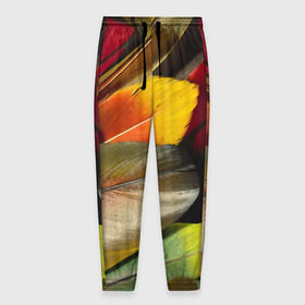 Мужские брюки 3D с принтом Перья в Курске, 100% полиэстер | манжеты по низу, эластичный пояс регулируется шнурком, по бокам два кармана без застежек, внутренняя часть кармана из мелкой сетки | перо | попугай | птица | радуга | радужный