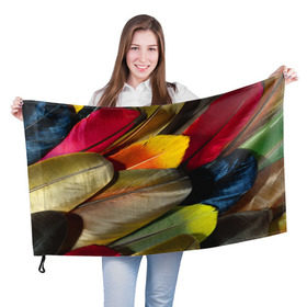 Флаг 3D с принтом Перья в Курске, 100% полиэстер | плотность ткани — 95 г/м2, размер — 67 х 109 см. Принт наносится с одной стороны | перо | попугай | птица | радуга | радужный