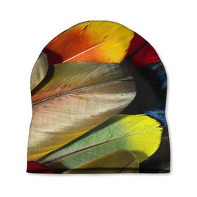 Шапка 3D с принтом Перья в Курске, 100% полиэстер | универсальный размер, печать по всей поверхности изделия | перо | попугай | птица | радуга | радужный