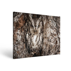 Холст прямоугольный с принтом Камуфляж сова в Курске, 100% ПВХ |  | Тематика изображения на принте: дерево | пернатая | птица | филин