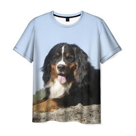 Мужская футболка 3D с принтом Бернский зенненхунд в Курске, 100% полиэфир | прямой крой, круглый вырез горловины, длина до линии бедер | голубое небо | друг человека | животное | красивая | милая | овчарка | пес | породистая собака | породы | прикольная | природа | рыжий | черный | щенок