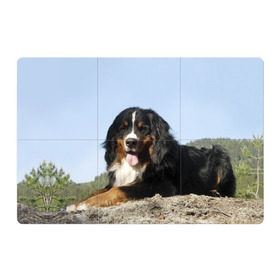 Магнитный плакат 3Х2 с принтом Бернский зенненхунд в Курске, Полимерный материал с магнитным слоем | 6 деталей размером 9*9 см | Тематика изображения на принте: голубое небо | друг человека | животное | красивая | милая | овчарка | пес | породистая собака | породы | прикольная | природа | рыжий | черный | щенок
