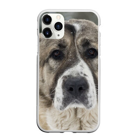 Чехол для iPhone 11 Pro матовый с принтом САО (алабай) в Курске, Силикон |  | большая огромная | грозная | добрая | друг человека | животное | красивая | милая | пес | породистая собака | породы | прикольная | сао алабай | щенок