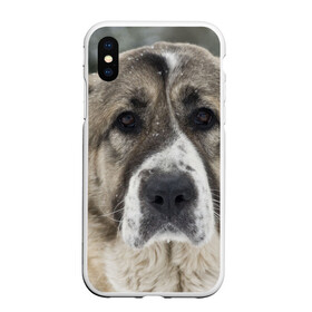 Чехол для iPhone XS Max матовый с принтом САО (алабай) в Курске, Силикон | Область печати: задняя сторона чехла, без боковых панелей | большая огромная | грозная | добрая | друг человека | животное | красивая | милая | пес | породистая собака | породы | прикольная | сао алабай | щенок