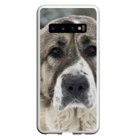 Чехол для Samsung Galaxy S10 с принтом САО (алабай) в Курске, Силикон | Область печати: задняя сторона чехла, без боковых панелей | большая огромная | грозная | добрая | друг человека | животное | красивая | милая | пес | породистая собака | породы | прикольная | сао алабай | щенок