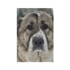 Обложка для паспорта матовая кожа с принтом САО (алабай) в Курске, натуральная матовая кожа | размер 19,3 х 13,7 см; прозрачные пластиковые крепления | большая огромная | грозная | добрая | друг человека | животное | красивая | милая | пес | породистая собака | породы | прикольная | сао алабай | щенок