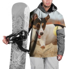 Накидка на куртку 3D с принтом Счастье в Курске, 100% полиэстер |  | друг человека | животное | игра | красивая | ловит | маленький | милая | мяч | на природе | пес | породистая собака | породы | прикольная | счастливый | щенок