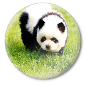 Значок с принтом Пес панда в Курске,  металл | круглая форма, металлическая застежка в виде булавки | 