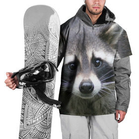 Накидка на куртку 3D с принтом Озадаченный енот в Курске, 100% полиэстер |  | добрый | енот | животное | зверек | зверь | красивый | милое | милый | полоски серые | полоскун | прикольный | природа | усатый | фауна | флора | хищник | черный | шерсть