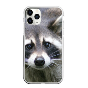 Чехол для iPhone 11 Pro матовый с принтом Озадаченный енот в Курске, Силикон |  | добрый | енот | животное | зверек | зверь | красивый | милое | милый | полоски серые | полоскун | прикольный | природа | усатый | фауна | флора | хищник | черный | шерсть