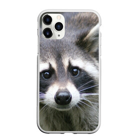 Чехол для iPhone 11 Pro Max матовый с принтом Озадаченный енот в Курске, Силикон |  | Тематика изображения на принте: добрый | енот | животное | зверек | зверь | красивый | милое | милый | полоски серые | полоскун | прикольный | природа | усатый | фауна | флора | хищник | черный | шерсть