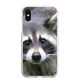 Чехол для iPhone XS Max матовый с принтом Озадаченный енот в Курске, Силикон | Область печати: задняя сторона чехла, без боковых панелей | добрый | енот | животное | зверек | зверь | красивый | милое | милый | полоски серые | полоскун | прикольный | природа | усатый | фауна | флора | хищник | черный | шерсть