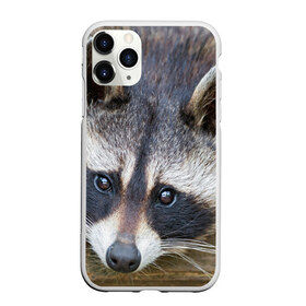 Чехол для iPhone 11 Pro матовый с принтом Енот в Курске, Силикон |  | барсук | добрый | енот | животное | зверек | зверь | красивый | крошка | милое | милый | полоски серые | полоскун | прикольный | природа | скунс | усатый | фауна | флора | хищник | черный | шерсть
