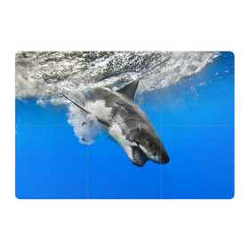 Магнитный плакат 3Х2 с принтом Акула в Курске, Полимерный материал с магнитным слоем | 6 деталей размером 9*9 см | shark | море | синий | челюсти
