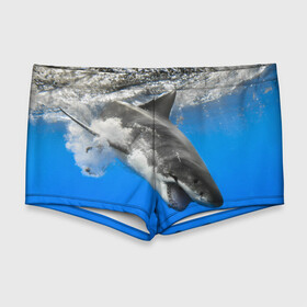 Мужские купальные плавки 3D с принтом Акула в Курске, Полиэстер 85%, Спандекс 15% |  | shark | море | синий | челюсти