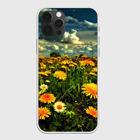 Чехол для iPhone 12 Pro Max с принтом Одуванчики в Курске, Силикон |  | Тематика изображения на принте: пейзаж | поле | цветы