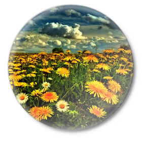 Значок с принтом Одуванчики в Курске,  металл | круглая форма, металлическая застежка в виде булавки | Тематика изображения на принте: пейзаж | поле | цветы
