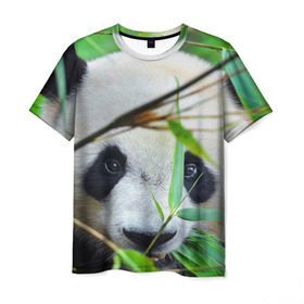 Мужская футболка 3D с принтом Панда в лесу в Курске, 100% полиэфир | прямой крой, круглый вырез горловины, длина до линии бедер | Тематика изображения на принте: бамбук | животное | медведь