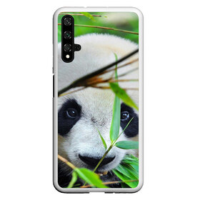 Чехол для Honor 20 с принтом Панда в лесу в Курске, Силикон | Область печати: задняя сторона чехла, без боковых панелей | бамбук | животное | медведь
