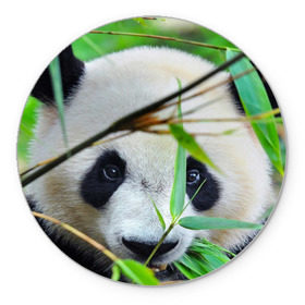 Коврик круглый с принтом Панда в лесу в Курске, резина и полиэстер | круглая форма, изображение наносится на всю лицевую часть | бамбук | животное | медведь