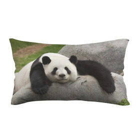 Подушка 3D антистресс с принтом Панда на камушке в Курске, наволочка — 100% полиэстер, наполнитель — вспененный полистирол | состоит из подушки и наволочки на молнии | бамбук | животное | медведь