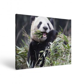 Холст прямоугольный с принтом Панда кушает в Курске, 100% ПВХ |  | бамбук | животное | медведь