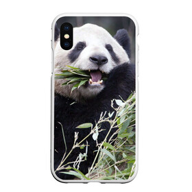 Чехол для iPhone XS Max матовый с принтом Панда кушает в Курске, Силикон | Область печати: задняя сторона чехла, без боковых панелей | бамбук | животное | медведь