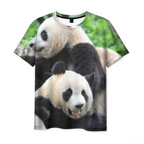 Мужская футболка 3D с принтом Панды в Курске, 100% полиэфир | прямой крой, круглый вырез горловины, длина до линии бедер | Тематика изображения на принте: бамбук | животное | медведь