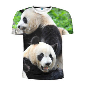 Мужская футболка 3D спортивная с принтом Панды в Курске, 100% полиэстер с улучшенными характеристиками | приталенный силуэт, круглая горловина, широкие плечи, сужается к линии бедра | бамбук | животное | медведь