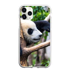 Чехол для iPhone 11 Pro матовый с принтом Бамбуковый медведь в Курске, Силикон |  | бамбук | животное | медведь