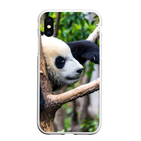 Чехол для iPhone XS Max матовый с принтом Бамбуковый медведь в Курске, Силикон | Область печати: задняя сторона чехла, без боковых панелей | бамбук | животное | медведь
