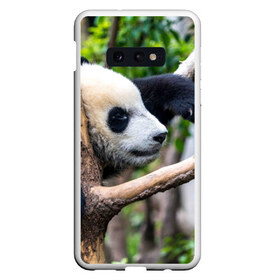 Чехол для Samsung S10E с принтом Бамбуковый медведь в Курске, Силикон | Область печати: задняя сторона чехла, без боковых панелей | бамбук | животное | медведь