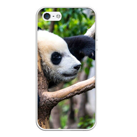 Чехол для iPhone 5/5S матовый с принтом Бамбуковый медведь в Курске, Силикон | Область печати: задняя сторона чехла, без боковых панелей | бамбук | животное | медведь