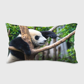Подушка 3D антистресс с принтом Бамбуковый медведь в Курске, наволочка — 100% полиэстер, наполнитель — вспененный полистирол | состоит из подушки и наволочки на молнии | бамбук | животное | медведь