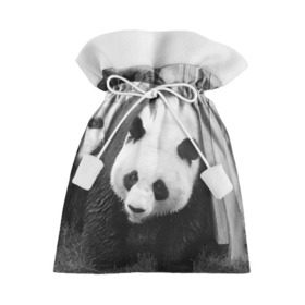 Подарочный 3D мешок с принтом Панды чб фото в Курске, 100% полиэстер | Размер: 29*39 см | бамбук | животное | медведь