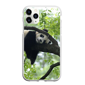 Чехол для iPhone 11 Pro матовый с принтом Панда спит на ветке в Курске, Силикон |  | бамбук | животное | медведь