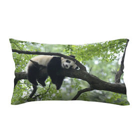 Подушка 3D антистресс с принтом Панда спит на ветке в Курске, наволочка — 100% полиэстер, наполнитель — вспененный полистирол | состоит из подушки и наволочки на молнии | бамбук | животное | медведь