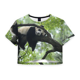 Женская футболка 3D укороченная с принтом Панда спит на ветке в Курске, 100% полиэстер | круглая горловина, длина футболки до линии талии, рукава с отворотами | бамбук | животное | медведь