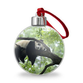 Ёлочный шар с принтом Панда спит на ветке в Курске, Пластик | Диаметр: 77 мм | Тематика изображения на принте: бамбук | животное | медведь