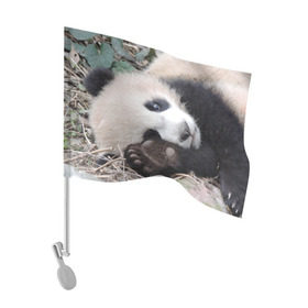 Флаг для автомобиля с принтом Лапка панда в Курске, 100% полиэстер | Размер: 30*21 см | бамбук | животное | медведь