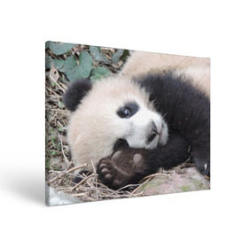 Холст прямоугольный с принтом Лапка панда в Курске, 100% ПВХ |  | Тематика изображения на принте: бамбук | животное | медведь