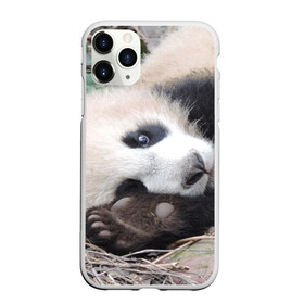Чехол для iPhone 11 Pro матовый с принтом Лапка панда в Курске, Силикон |  | бамбук | животное | медведь