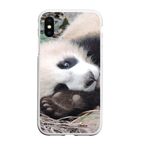 Чехол для iPhone XS Max матовый с принтом Лапка панда в Курске, Силикон | Область печати: задняя сторона чехла, без боковых панелей | бамбук | животное | медведь