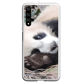 Чехол для Honor 20 с принтом Лапка панда в Курске, Силикон | Область печати: задняя сторона чехла, без боковых панелей | бамбук | животное | медведь