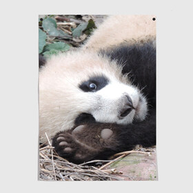 Постер с принтом Лапка панда в Курске, 100% бумага
 | бумага, плотность 150 мг. Матовая, но за счет высокого коэффициента гладкости имеет небольшой блеск и дает на свету блики, но в отличии от глянцевой бумаги не покрыта лаком | бамбук | животное | медведь