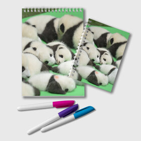 Блокнот с принтом Новорожденные панды в Курске, 100% бумага | 48 листов, плотность листов — 60 г/м2, плотность картонной обложки — 250 г/м2. Листы скреплены удобной пружинной спиралью. Цвет линий — светло-серый
 | бамбук | животное | медведь