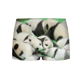 Мужские трусы 3D с принтом Новорожденные панды в Курске, 50% хлопок, 50% полиэстер | классическая посадка, на поясе мягкая тканевая резинка | Тематика изображения на принте: бамбук | животное | медведь